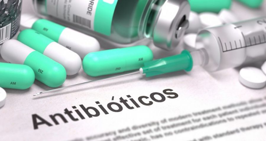 Nuestra compañía lote Ciudad Cómo garantizar la eficacia de los antibióticos? - Farmacia Rastro